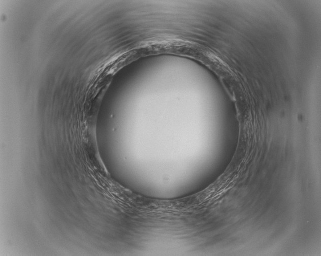 X0000058110822200510171242