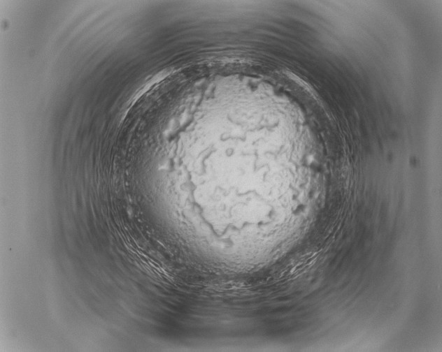 X0000058110823200510171242