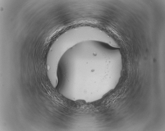 X0000058110824200510171242