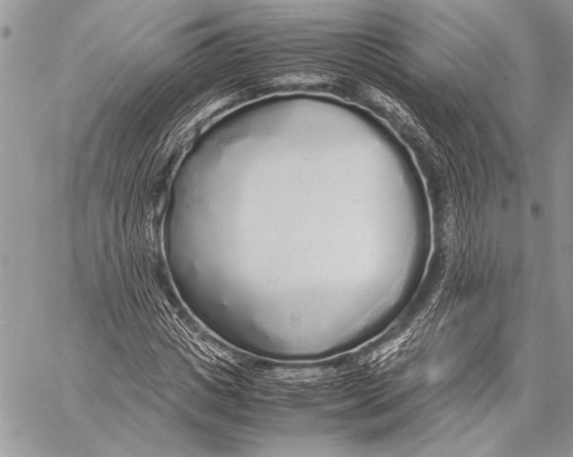 X0000058110825200510171242