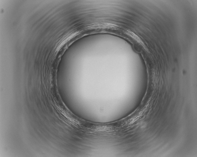 X0000058110826200510171242