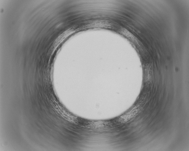 X0000058110828200510171242