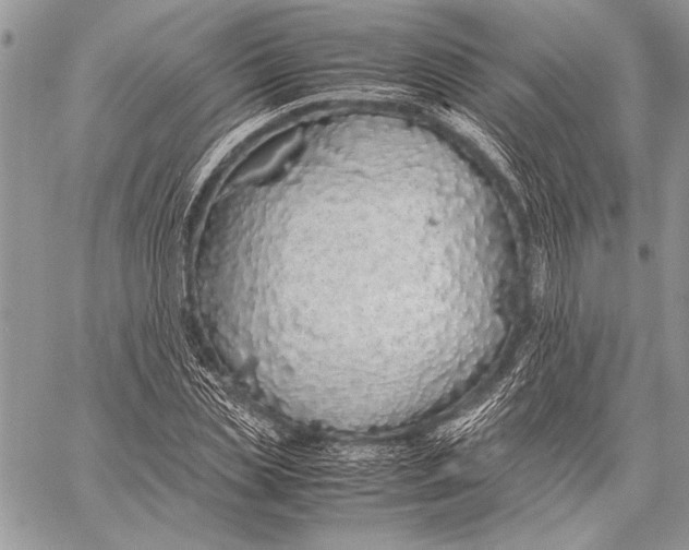 X0000058110829200510171242