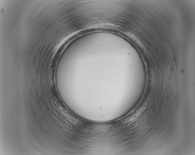 X0000058110830200510171242