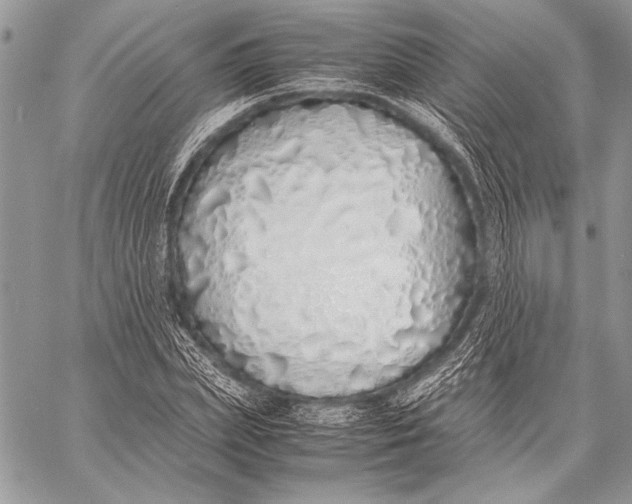 X0000058110831200510171242