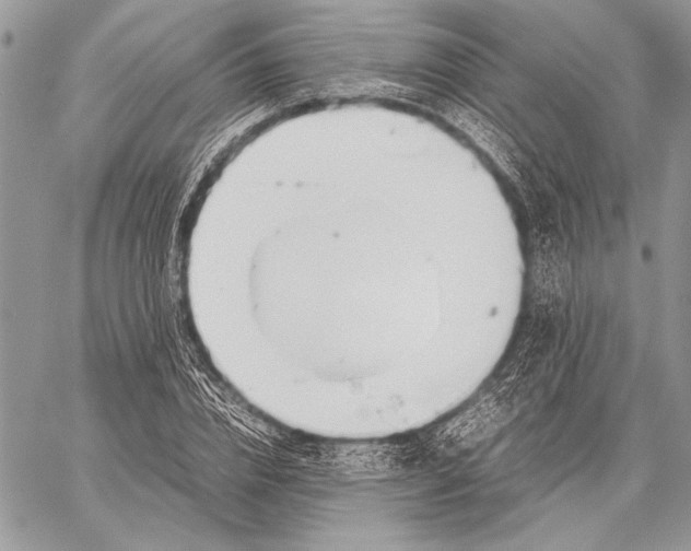 X0000058110832200510171242