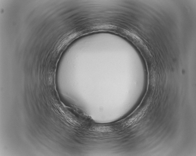 X0000058110833200510171242