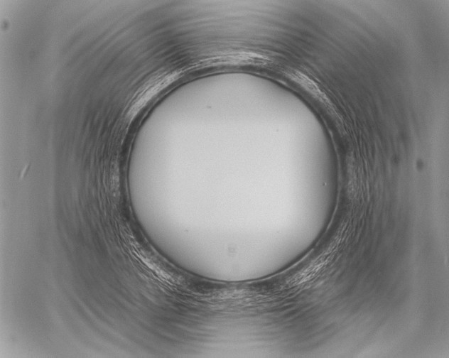 X0000058110834200510171242