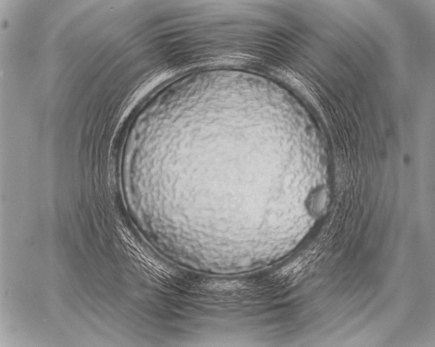 X0000058110835200510171242