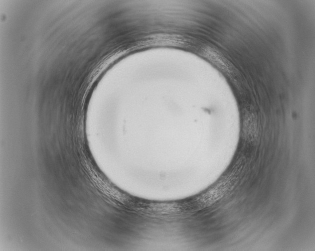 X0000058110836200510171242