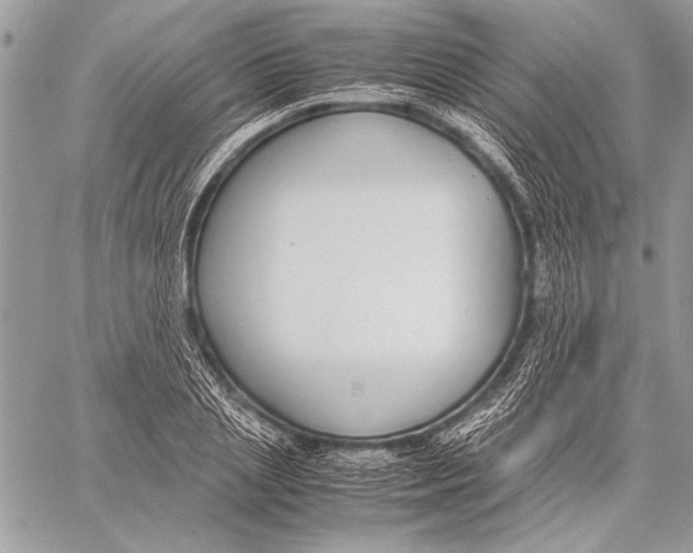 X0000058110837200510171242