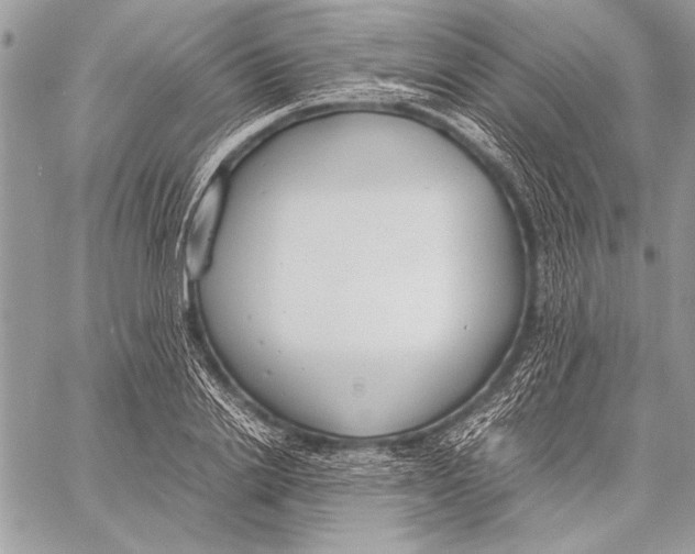 X0000058110838200510171242