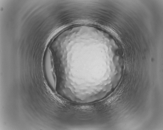 X0000058110839200510171242