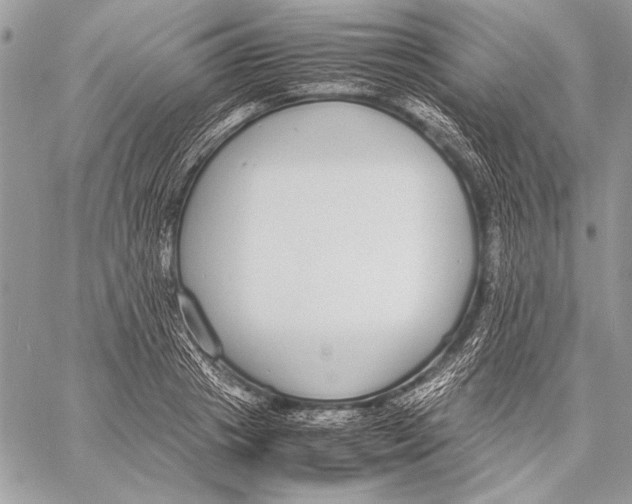 X0000058110841200510171242