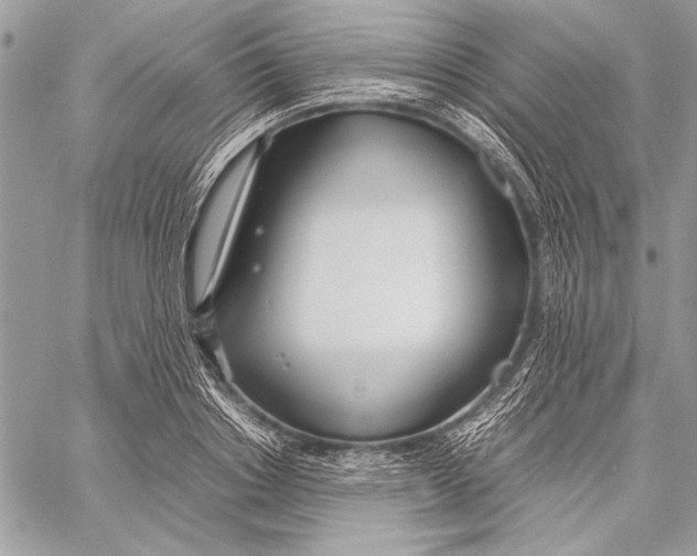 X0000058110842200510171242