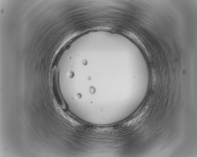 X0000058110843200510171242