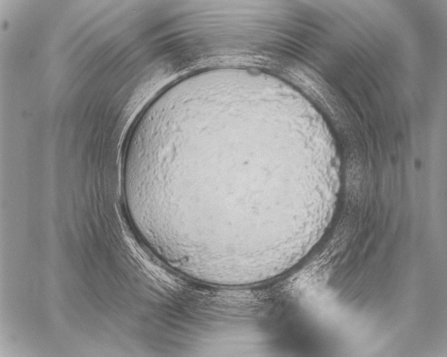 X0000058110844200510171242