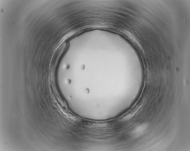 X0000058110845200510171242