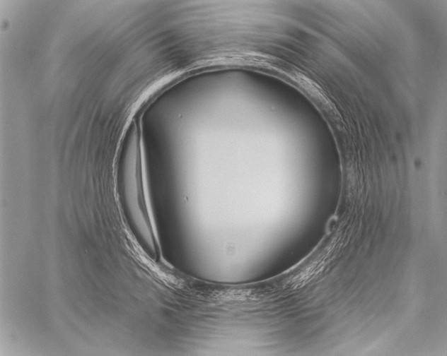 X0000058110846200510171242