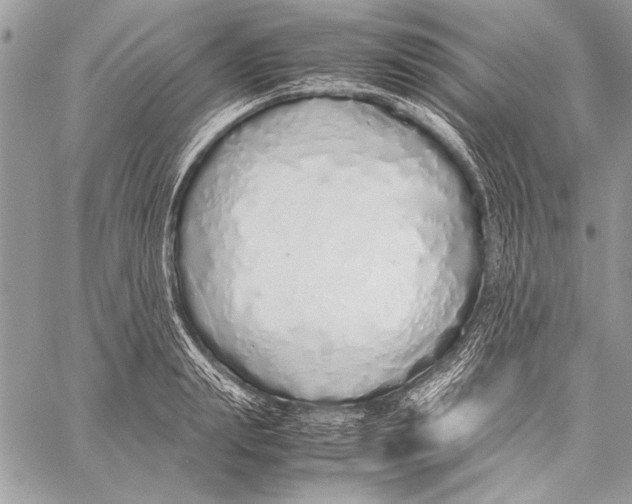 X0000058110847200510171242