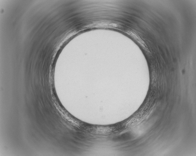 X0000058110848200510171242