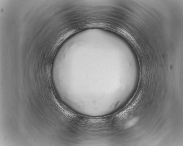 X0000058110849200510171242