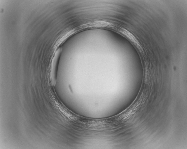 X0000058110850200510171242