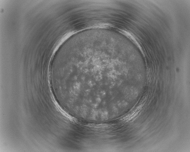 X0000058110851200510171242