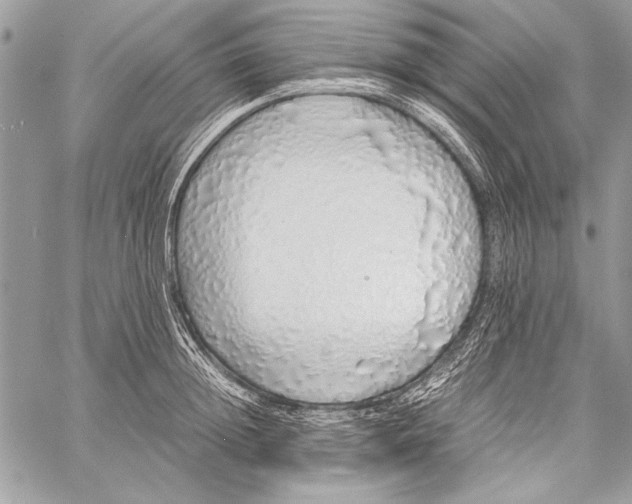 X0000058110852200510171242