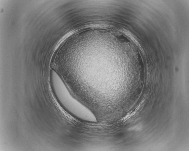 X0000058110853200510171242