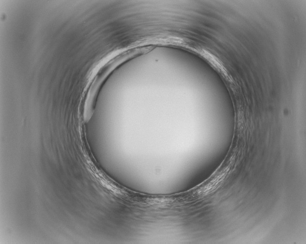 X0000058110854200510171242