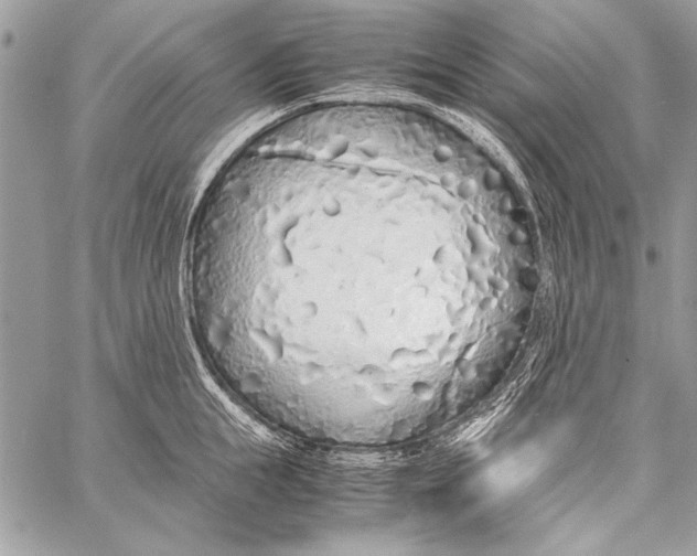 X0000058110855200510171242