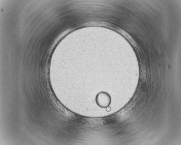 X0000058110856200510171242