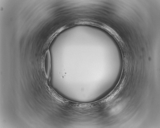 X0000058110857200510171242