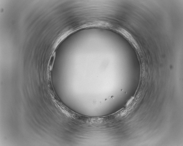 X0000058110858200510171242