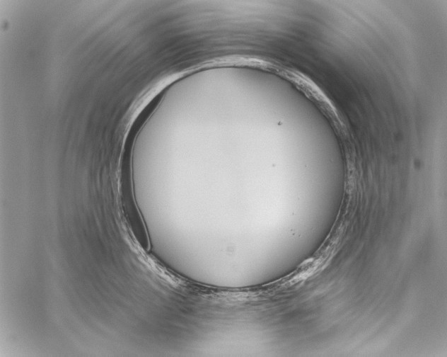 X0000058110860200510171242