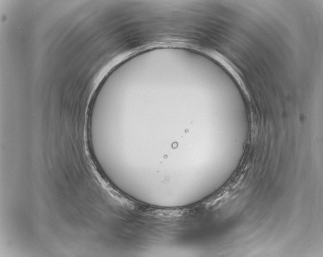 X0000058110861200510171242