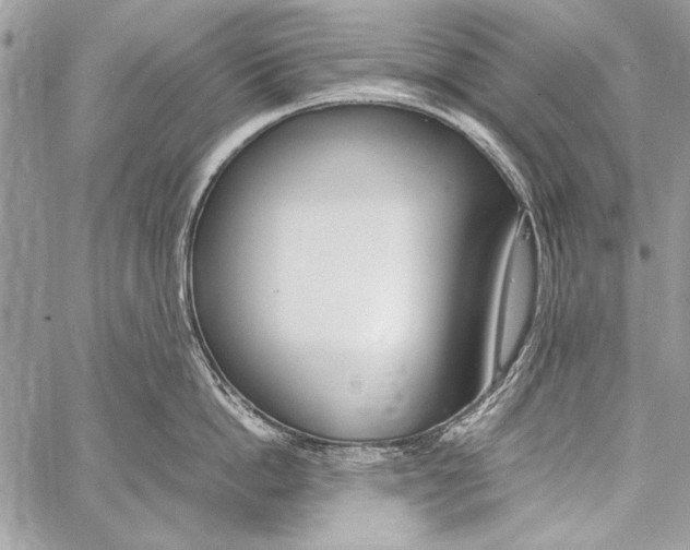 X0000058110862200510171242