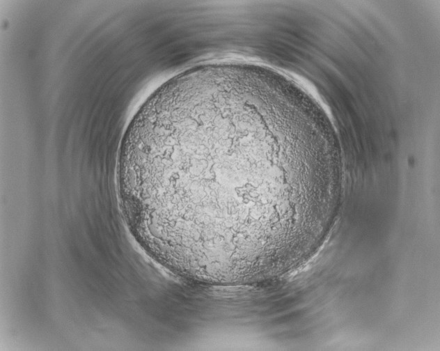 X0000058110863200510171243