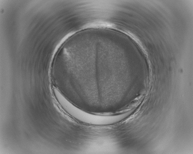 X0000058110864200510171243