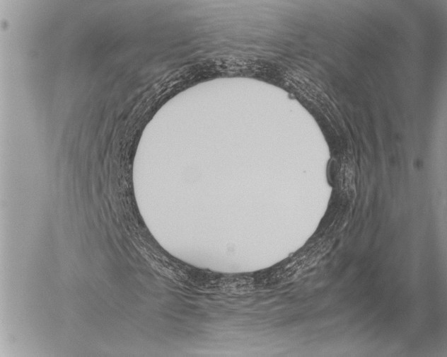 X0000058110865200510171242