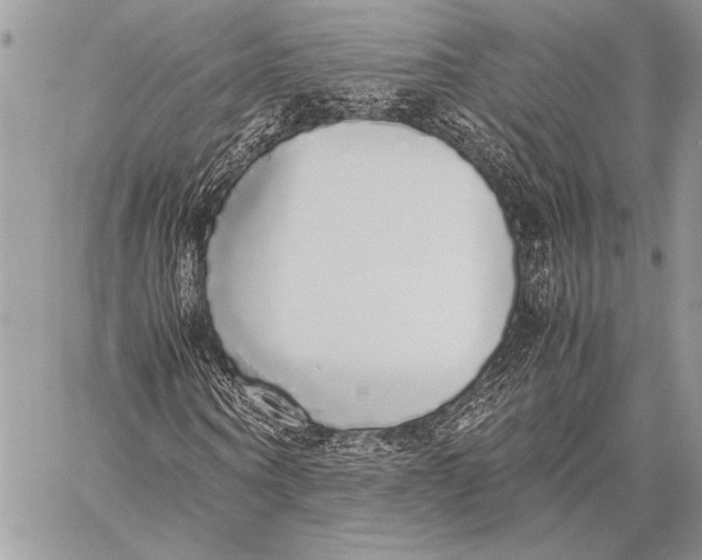 X0000058110866200510171242