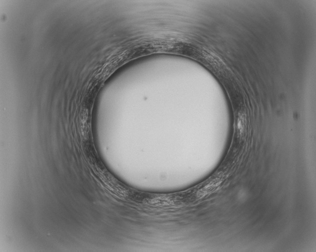 X0000058110867200510171242