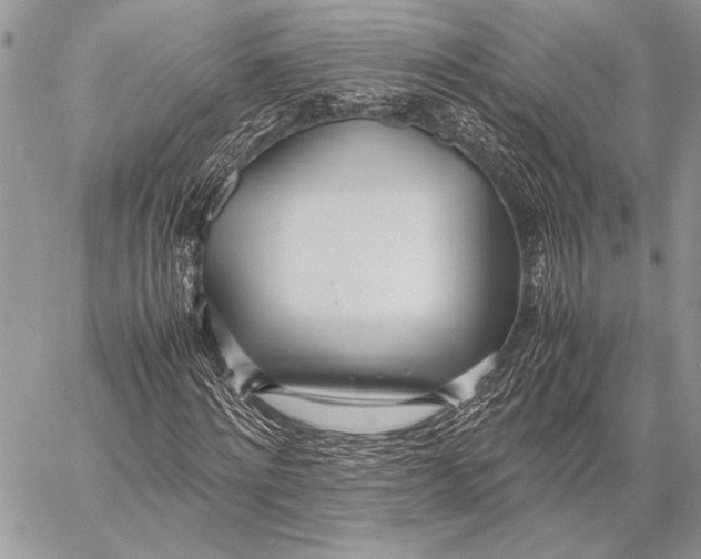 X0000058110868200510171242