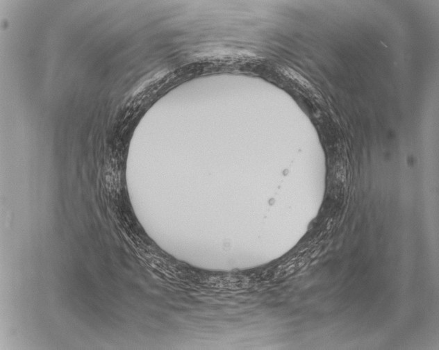 X0000058110869200510171242