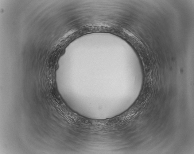 X0000058110870200510171242