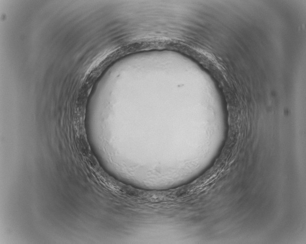 X0000058110871200510171242