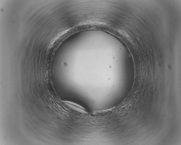 X0000058110872200510171242