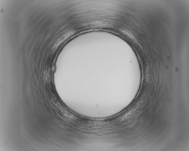 X0000058110873200510171242