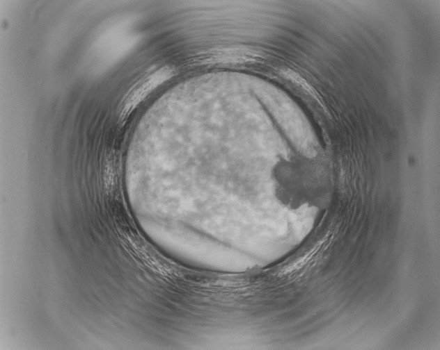 X0000058110874200510171242